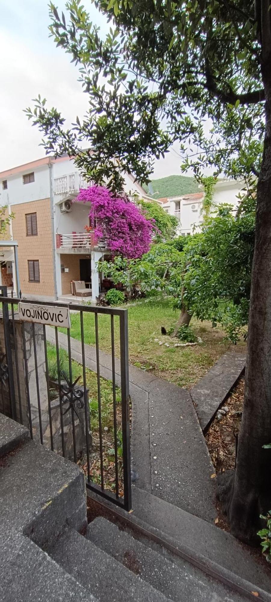 Vojinovic Apartments Budva Eksteriør billede