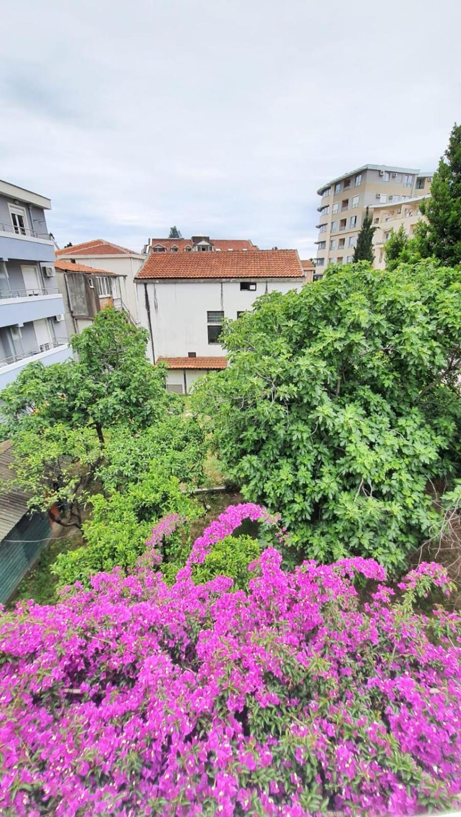 Vojinovic Apartments Budva Værelse billede