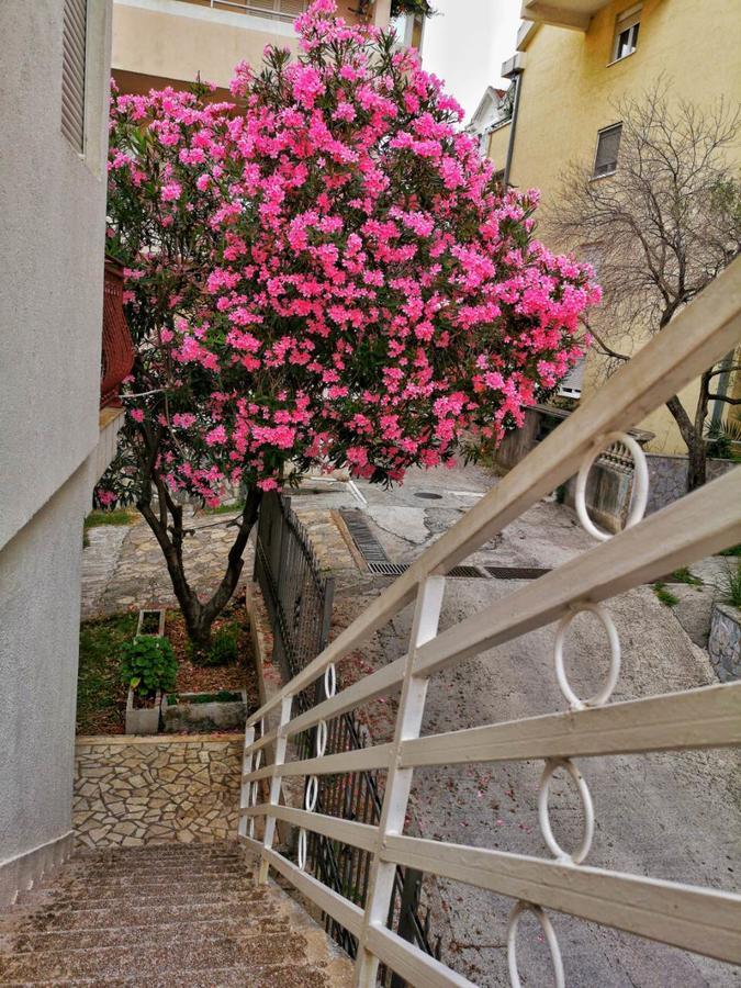 Vojinovic Apartments Budva Eksteriør billede