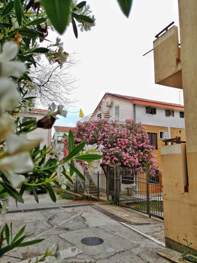 Vojinovic Apartments Budva Eksteriør billede